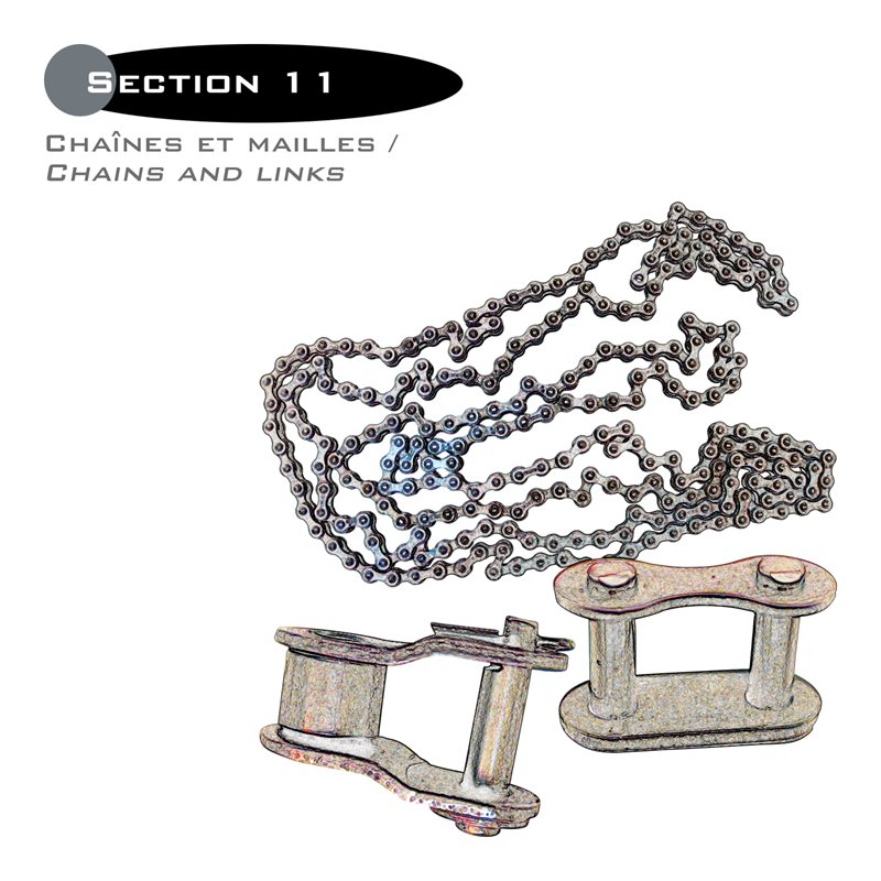 11-CHAINS AND LINKS